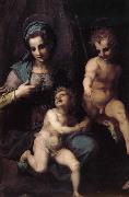 Andrea del Sarto, The Virgin and Child with St. John childhood